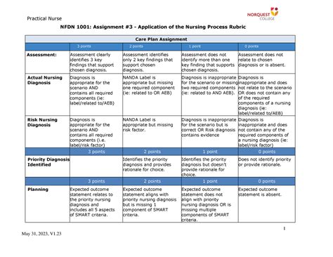 NFDN 1001 Assignment 3 Nursing Care Plan Rubric V1 23 Practical Nurse