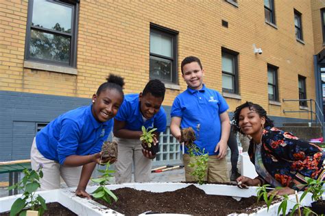 Grow Pittsburgh, community gardens, learning gardens and resources in