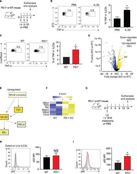 Frontiers Pd Blockade On Tumor Microenvironment Resident Ilc S