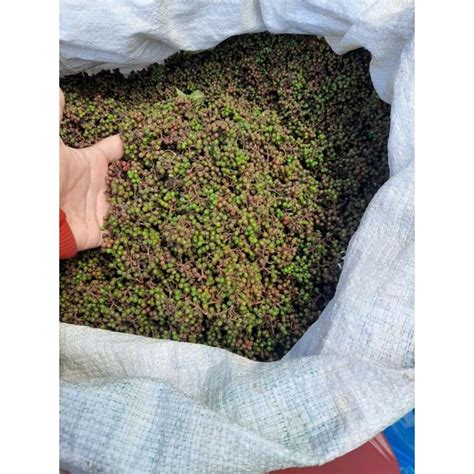 Jual Andaliman Segar Super Kg Shopee Indonesia