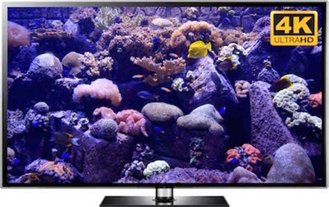 4K Virtual Fish Tank - 4K Aquarium Wallpaper - Loop on TV or PC