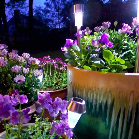 garden design ideas   budget pond informer