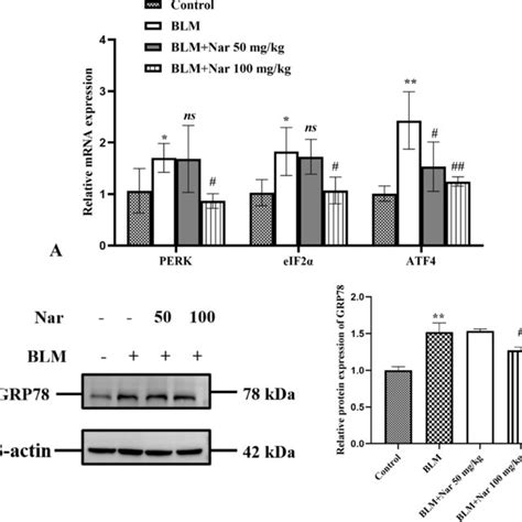 Nar Treatment Decreases The Levels Of Blm Induced Inflammation And