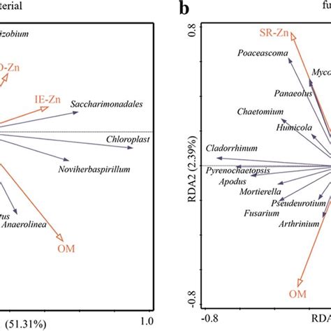 Redundancy Analysis RDA Of Bacterial A And Fungal B Communities