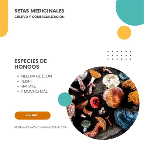 Curso De Cultivo De Hongos Medicinales 2023