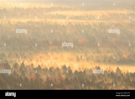 Hokkaido, Japan Mikuni Pass, Morning, Autumn Stock Photo - Alamy