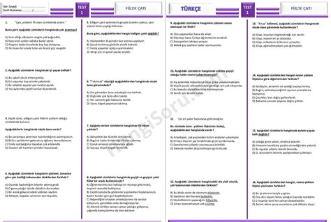 S N F Fiilde At Testi Pdf Ndir Hangisoru