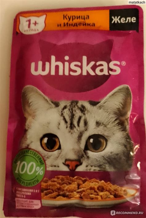 Влажный корм для кошек Whiskas Курица и индейка желе - «Ваши киски ...