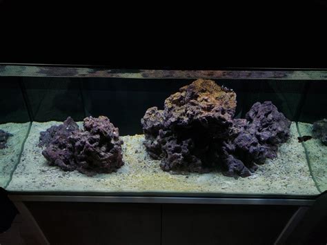 AIO Build Odd Ball First Saltwater Tank Build Fluval Flex 32 Reef2Reef