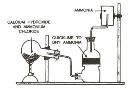 Give Balanced Chemical Equation For Laboratory Preparation Of Ammonia