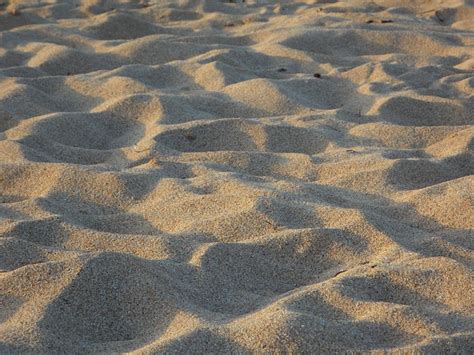 Foto Gratis Sabbia Spiaggia Sfondo Modello Immagine Gratis Su