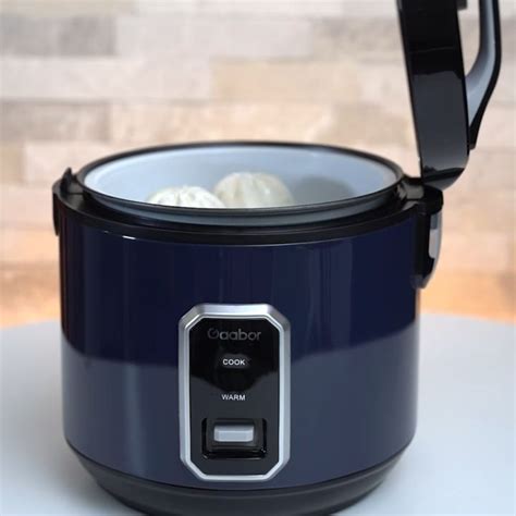 Gaabor Large Capacity Electric Multifunctional Steaming And Cooking