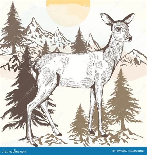 Hand Drawn Engraved Deer Illustration Stock Vector Illustration Of