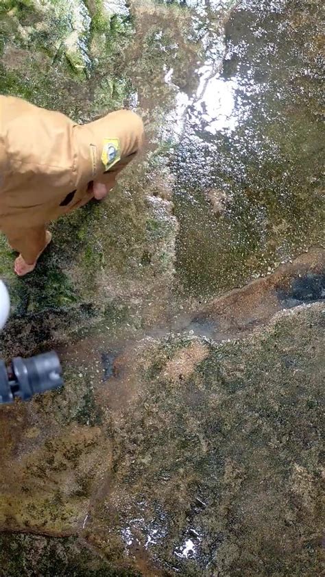 Malaysian Woman Pees Then Water Washes Vagina ThisVid