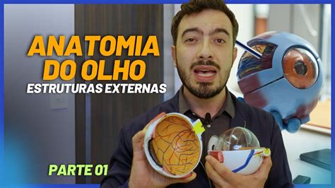 ANATOMIA DO OLHO PARTE 1 Estruturas Externas YouTube