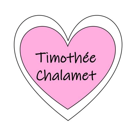 Timothee Chalamet Sticker Etsy