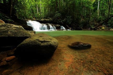 Landscape Forest Waterfall Water Rock Nature Reflection