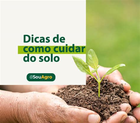 Dicas De Como Cuidar Do Solo Agropaulo