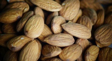 TOP 15 Aphrodisiac Foods That Make You Horny UPDATE