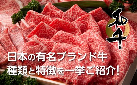 日本のブランド牛のおすすめは？特徴や世界のブランド牛についても詳しく解説 ふらっと。 マイナビふるさと納税