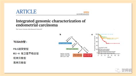 子宫内膜癌分子分型与临床决策（ppt）患者预后治疗