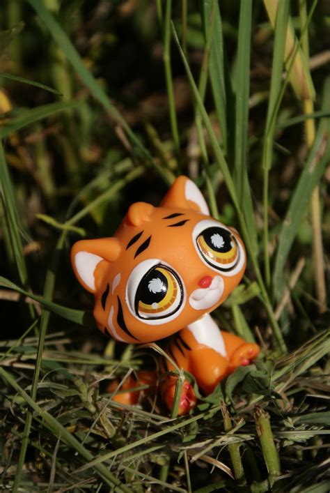 LPS Tiger by Eli102 on DeviantArt