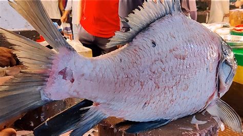 Amazing Giant Katla Fish Cutting Skills By Expert Fish Cutter Fish