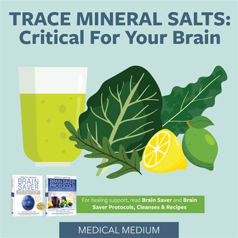 Trace Mineral Salts Critical For Your Brain