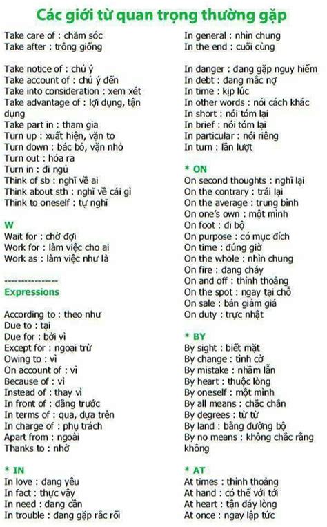 Basic Vietnamese Phrases Useful Vietnamese Words Eviva Tour Artofit