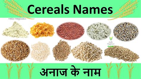 Define Cereals And Grains At Jackie Pruneda Blog