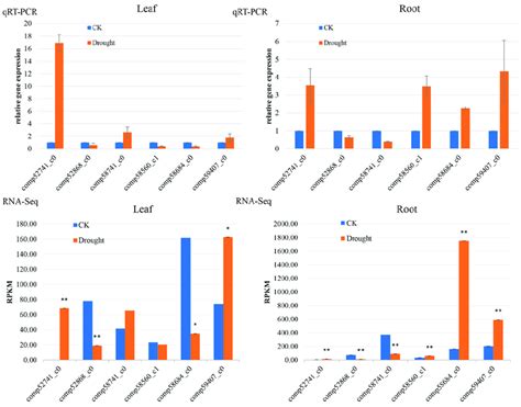 Qrt Pcr Verification Of Rna Seq Analysis Of Gene Expression Blue