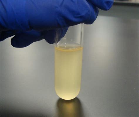 Use of Liquid Nutrient Broth Media for Growing Bacteria - Page 2