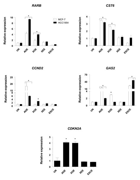 Expression of tumour suppressor genes after reprogramming in oocyte ... 