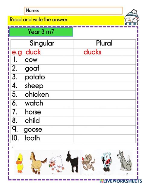 Worksheet For Singular And Plural Pluralnouns 1275×165