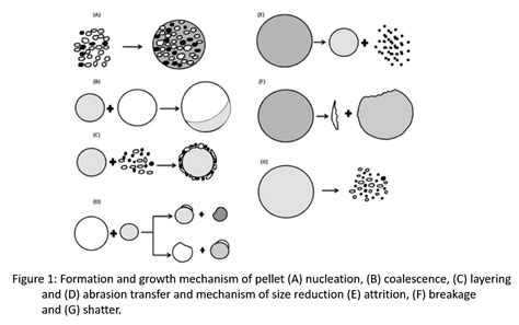 About Extrusion Spheronization