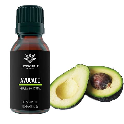 AVOCADO PERSEA GRATISSIMA Livingwell Naturals