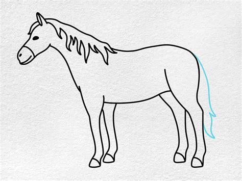 Horse Drawing for Kids - HelloArtsy