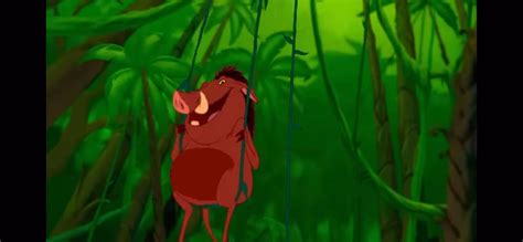 Timon And Pumbaa Hakuna Matata Cover Photo