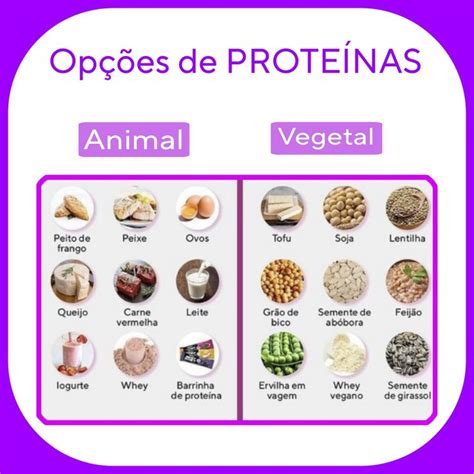 Qual A Melhor Fonte De Proteína - Opções de PROTEÍNAS | Fontes de proteína, Dicas saudaveis, Nutrição e ...
