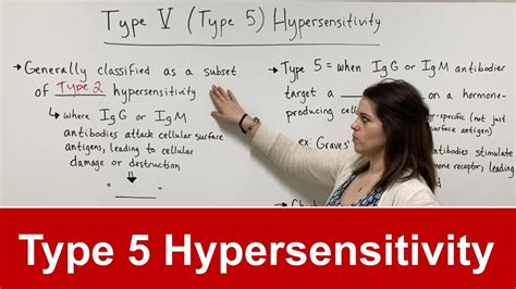 Type Hypersensitivity Youtube