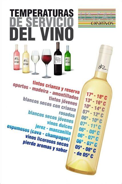 Cómo convertirte en un experto en vino Infografías El Cómo de las