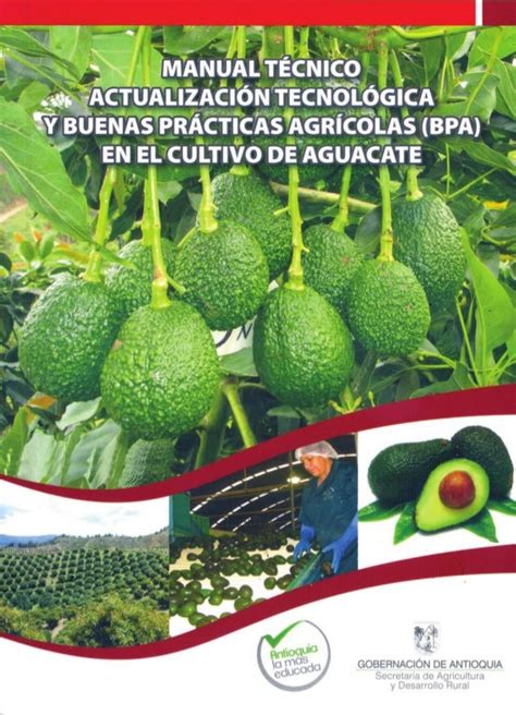 Actualización Tecnológica Y Buenas Prácticas Agrícolas Bpa En El Cu…