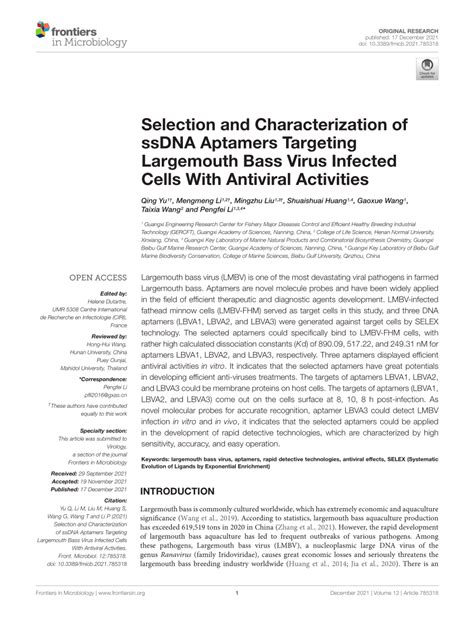 PDF Selection And Characterization Of SsDNA Aptamers Targeting