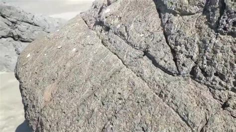 CockSmoothie Golden Gate Cum Free Porn Videos YouPornGay