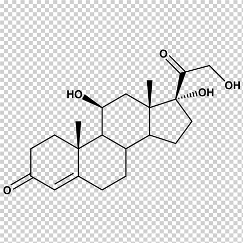 Descarga Gratis Cortisol Cortisona Estructura Qu Mica Compuesto