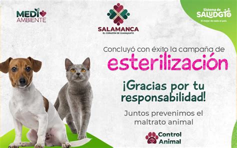 Concluye Con Xito Campa A De Esterilizaci N Canina Y Felina En