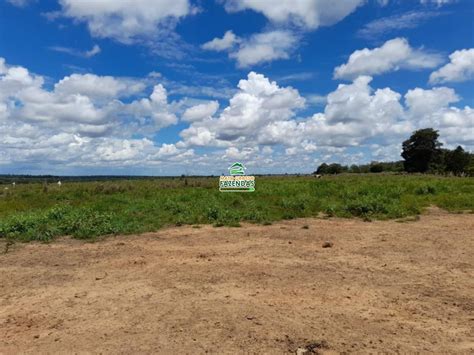 Mato Grosso Fazendas Hectares Venda No Vale Do Araguaia Mt