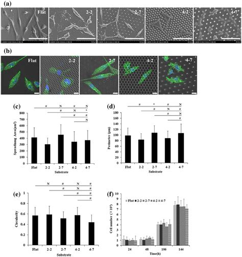 sH-sy5y cells morphology and proliferation on different substrates. (a ...