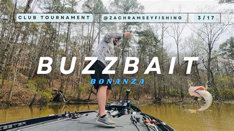 TOPWATER BUZZBAIT ACTION Bass Fishing Club TOURNAMENT On CLARKS HILL