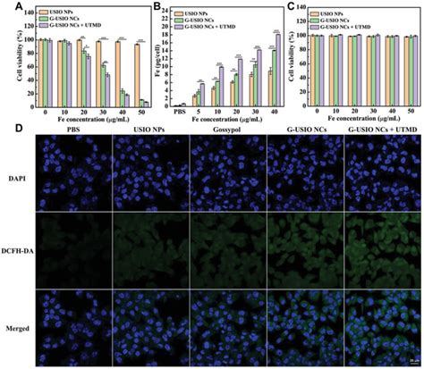 A Viability Of T Cells After Treated With Usio Nps Gusio Ncs Or